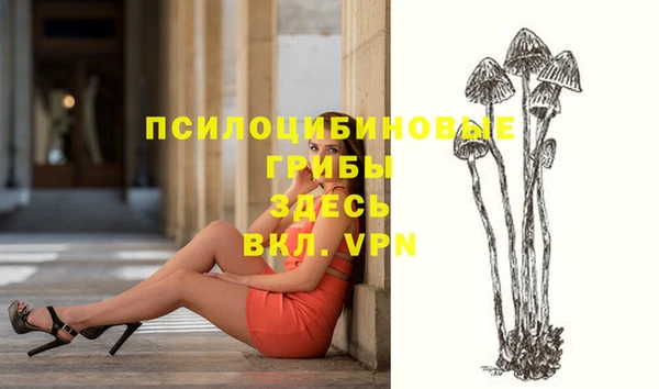 гидропоника Белоозёрский