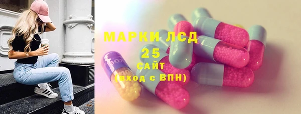 соль ск Белокуриха