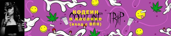 соль ск Белокуриха